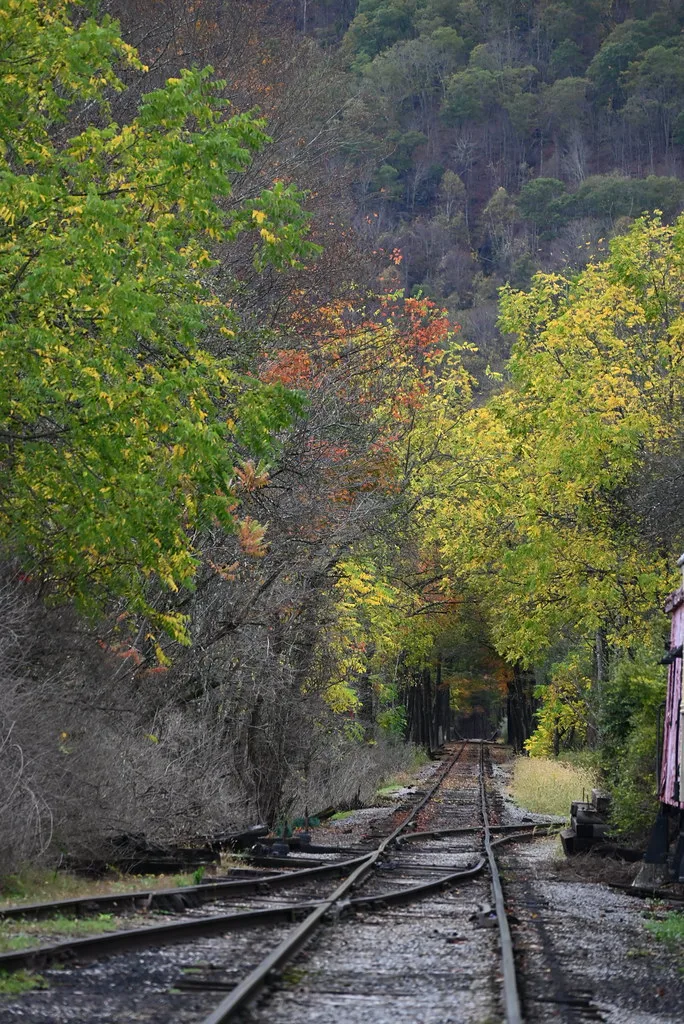 Scenic railroad track near Durbin among trees in autumn colors.