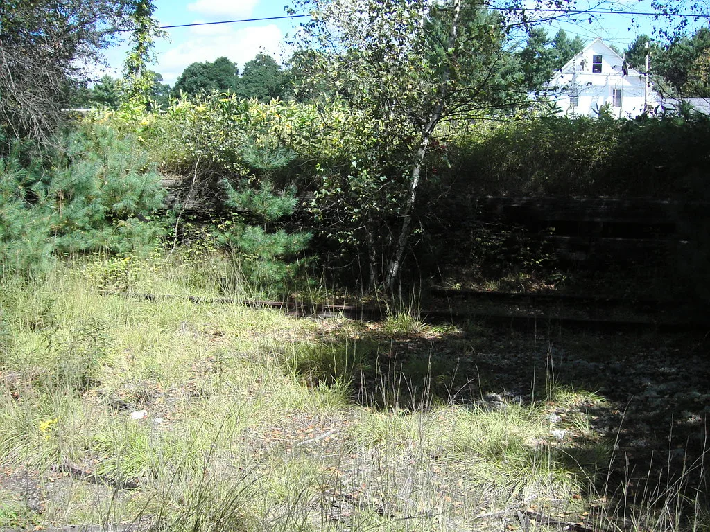 Old dark terraces overgrown with saplings and tall grass.