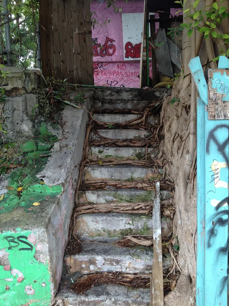 Concrete steps overgrown with roots leading to a graffiti-covered sealed entrance.