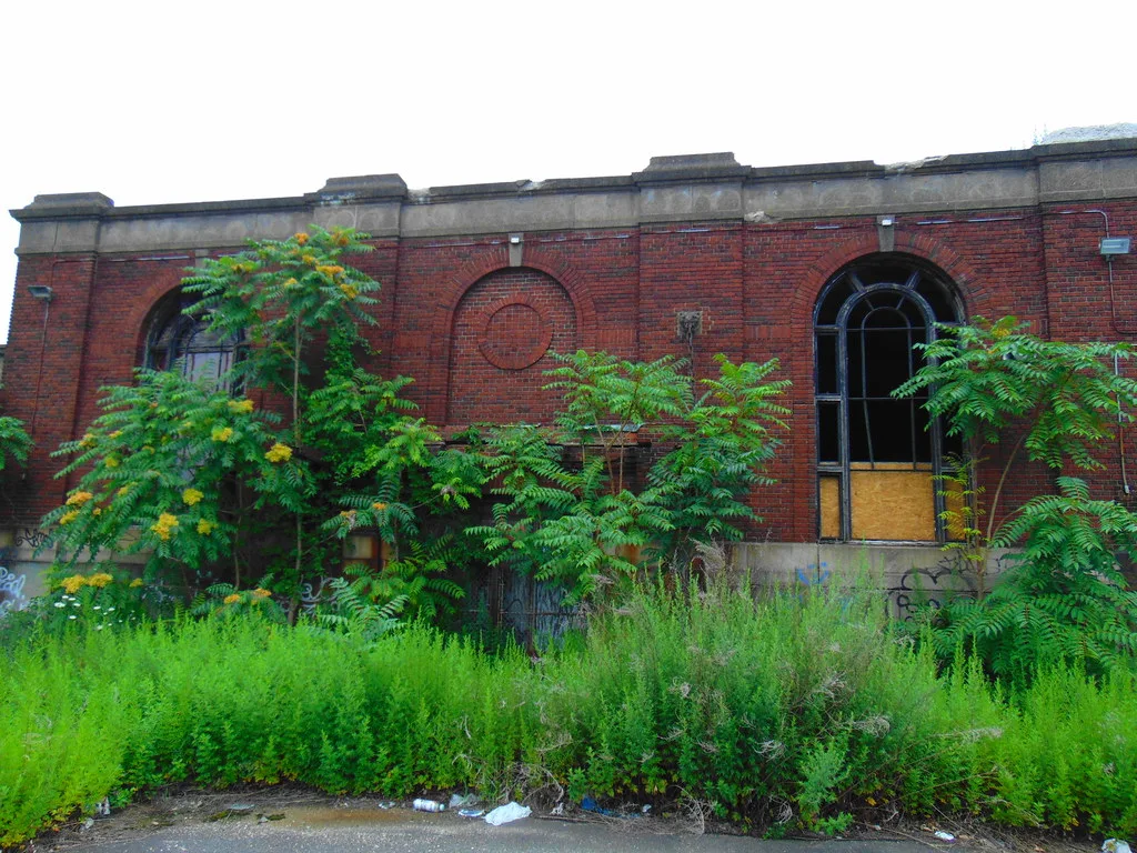 Abandoned brick facade with a large arched window missing panes behind tall weeds and trees.