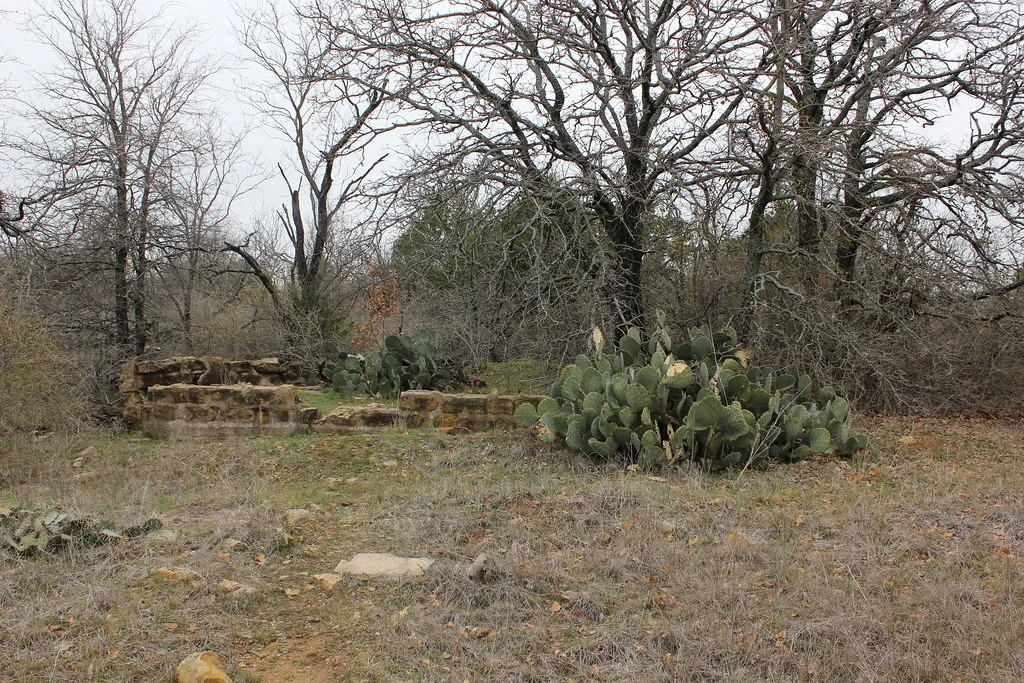 Remains of stone masonry among cacti and trees.