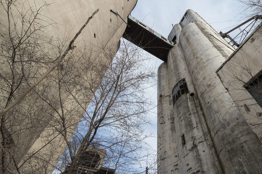 Old concrete silos and a connecting walkway viewed from below among trees.