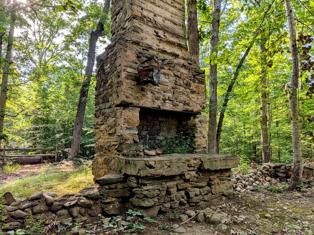 Cheminée de pierre restée debout parmi des murs écroulés en forêt.