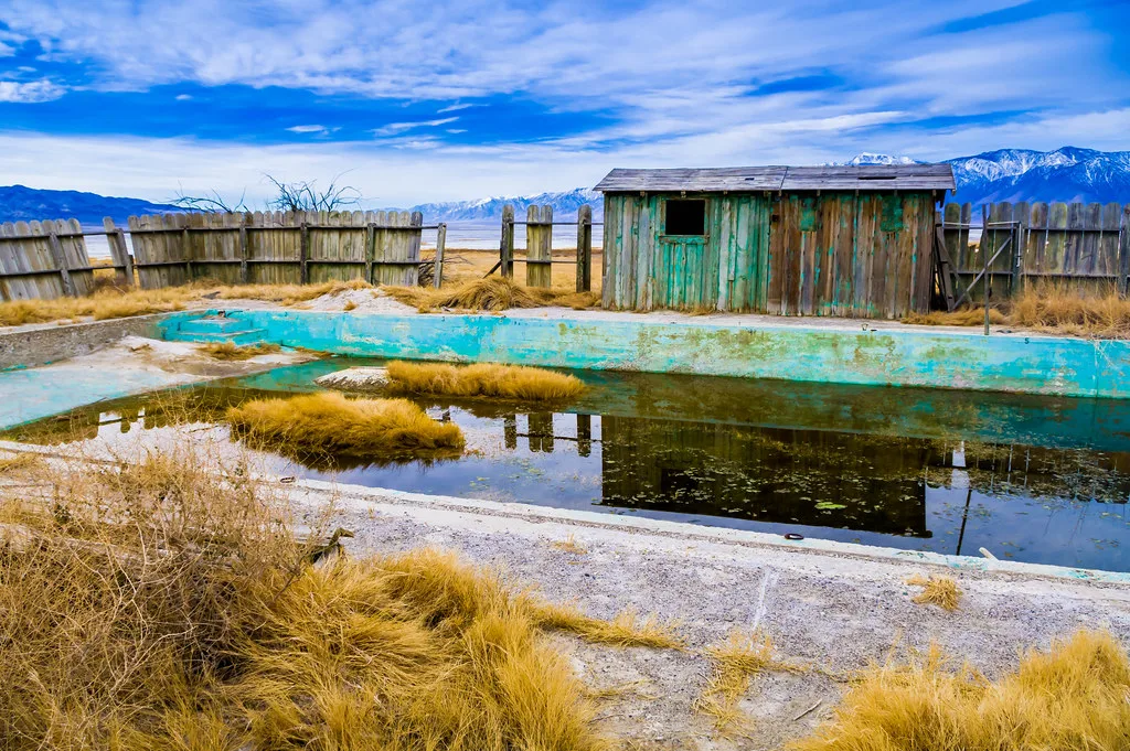 Old swimming pool overgrown with grass in front of a wooden hut.