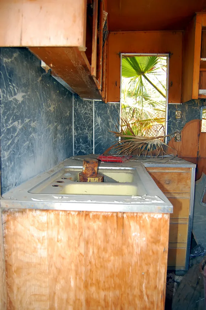 Deteriorated kitchen with a sink and vegetation entering through an open window.