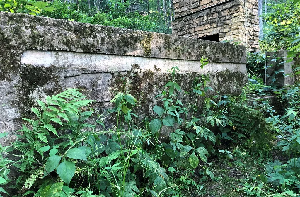 Ruined walls and a stone chimney overgrown with ferns in a forest.