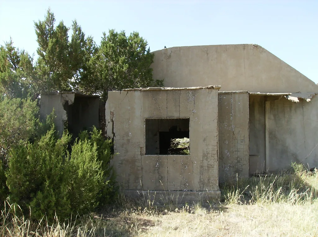 Concrete ruins overgrown with trees and grass.