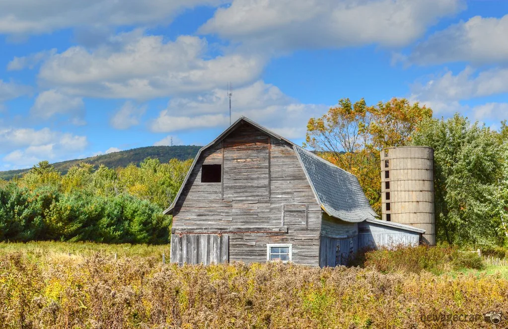 Old wooden barn and silo amid tall grass.