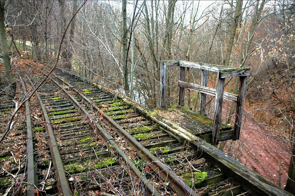 Ancien pont ferroviaire en bois couvert de mousse et envahi de branches.