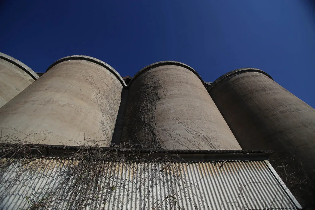 Old concrete silos covered in climbing plants.