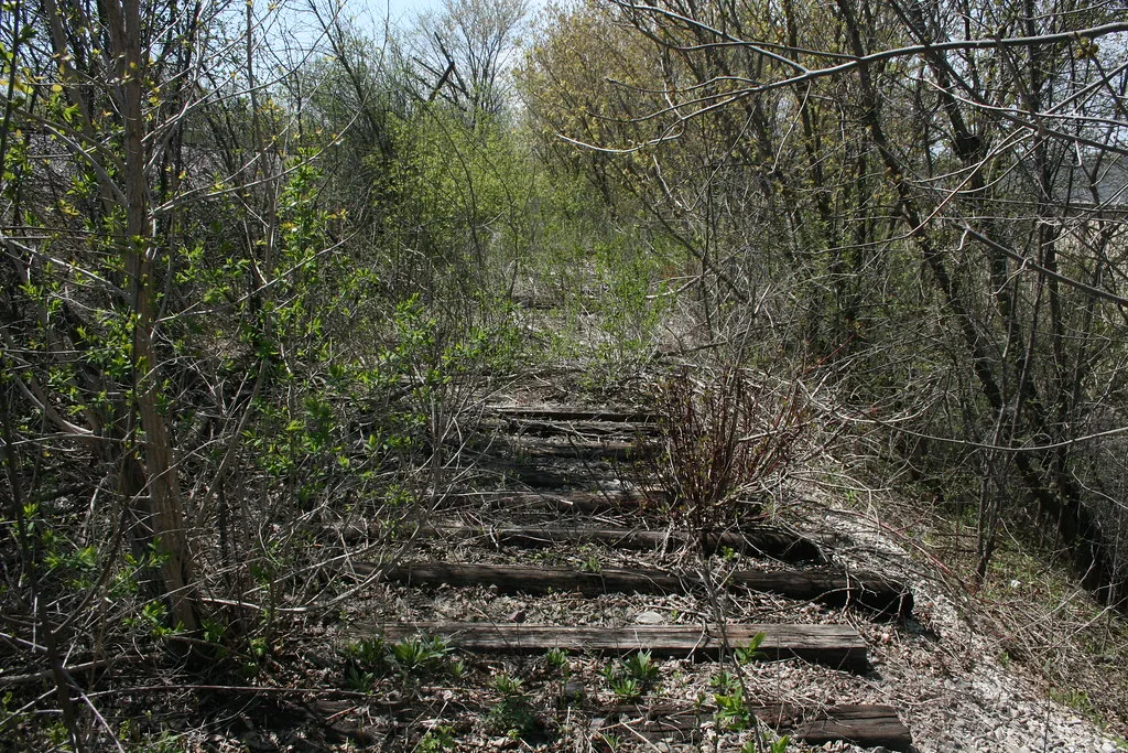 Old railway sleepers overgrown with trees and brush.
