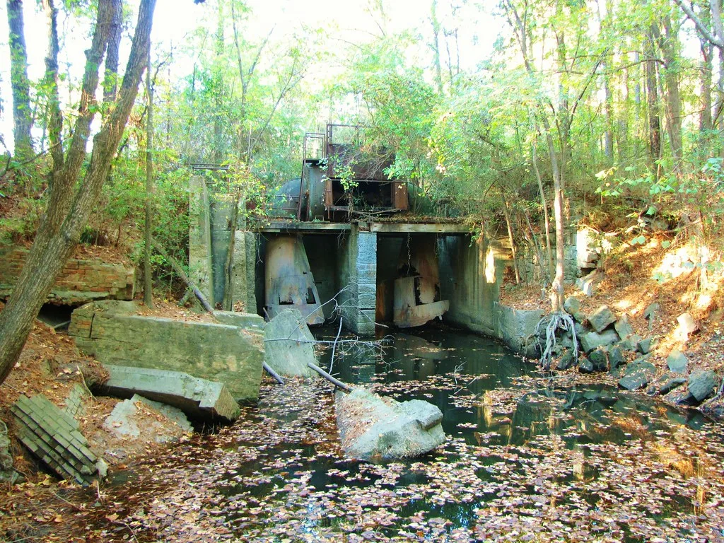 Industrial remains overgrown with trees around stagnant water.