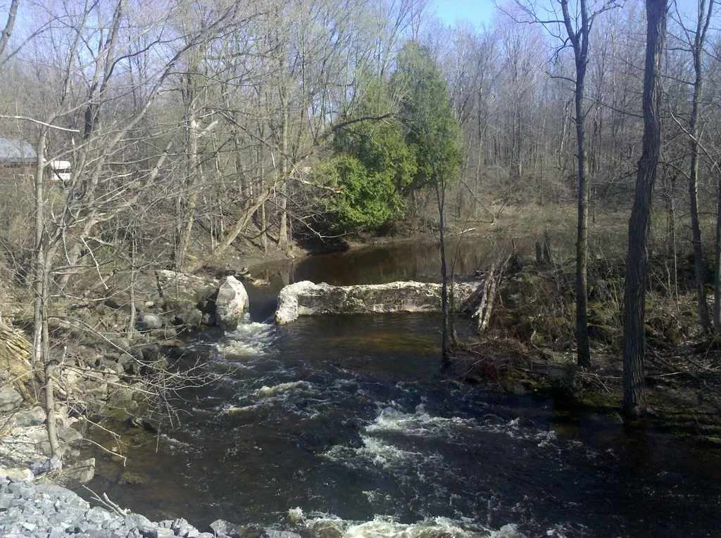 Remains of a breached stone dam in a river among trees.