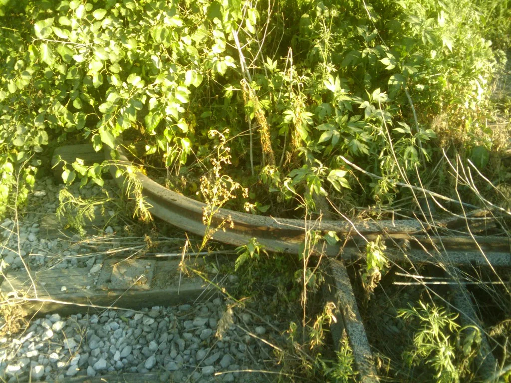 Bent rails and sleepers overgrown with vegetation.
