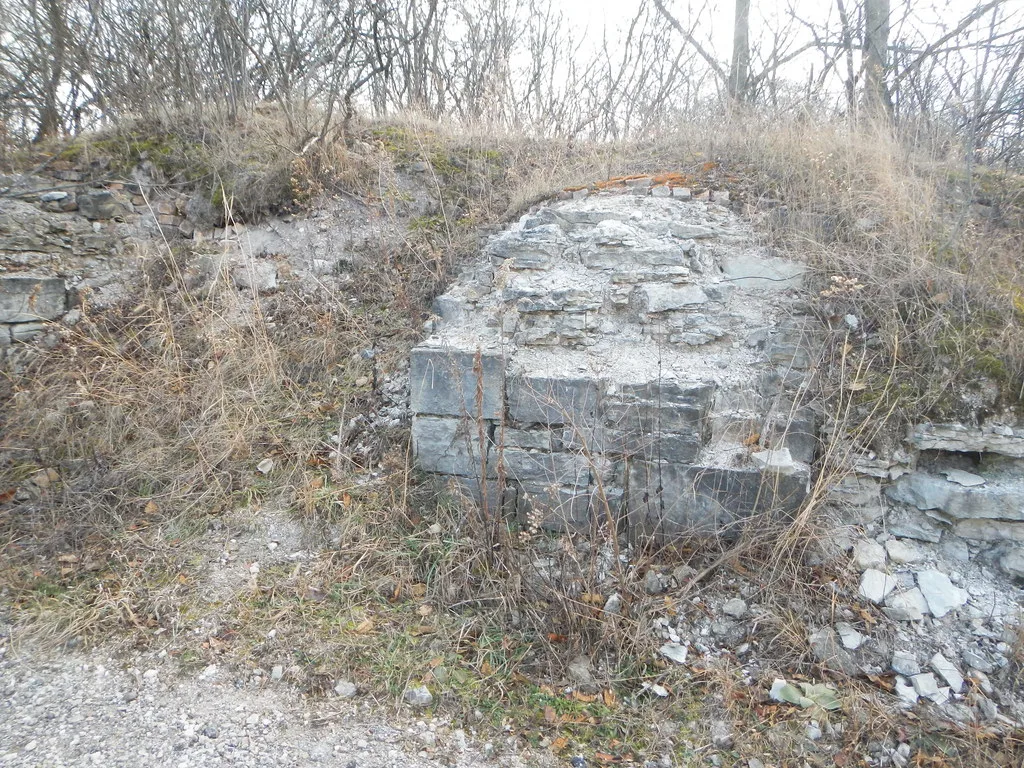 Remains of partially collapsed grey stone walls, with fallen blocks and dry grass among bare trees.