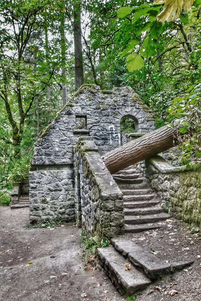 Stone staircase of a forest ruin blocked by a fallen tree trunk.