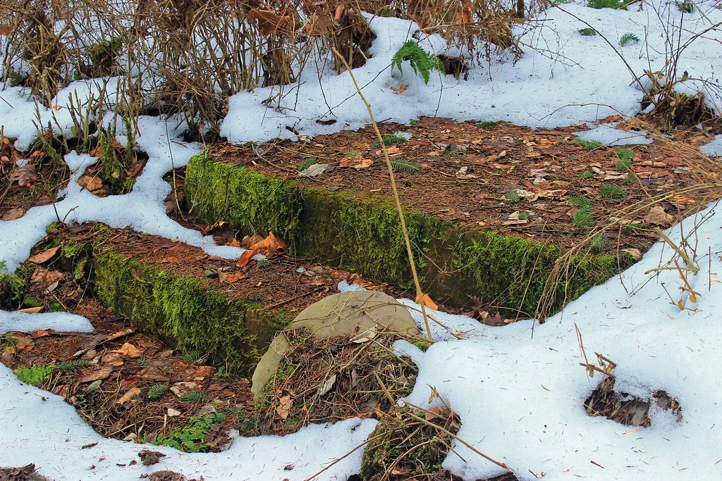 Anciennes marches de béton moussues entourées de neige et de feuilles.