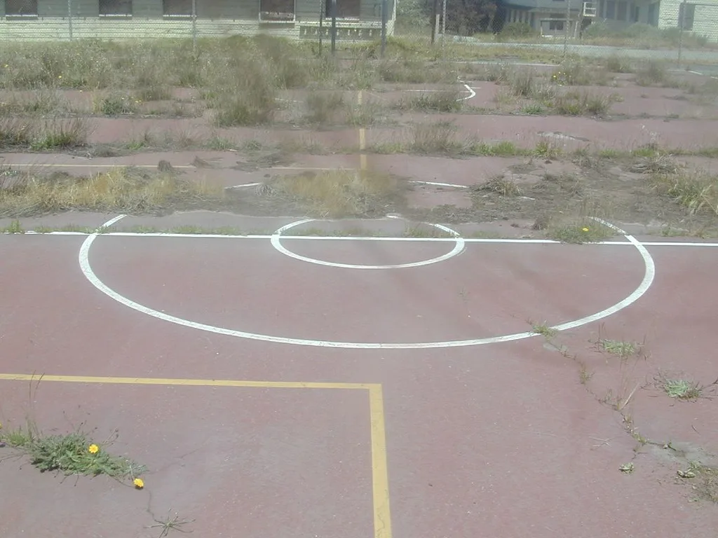 Abandoned sports court with grass growing through its surface.