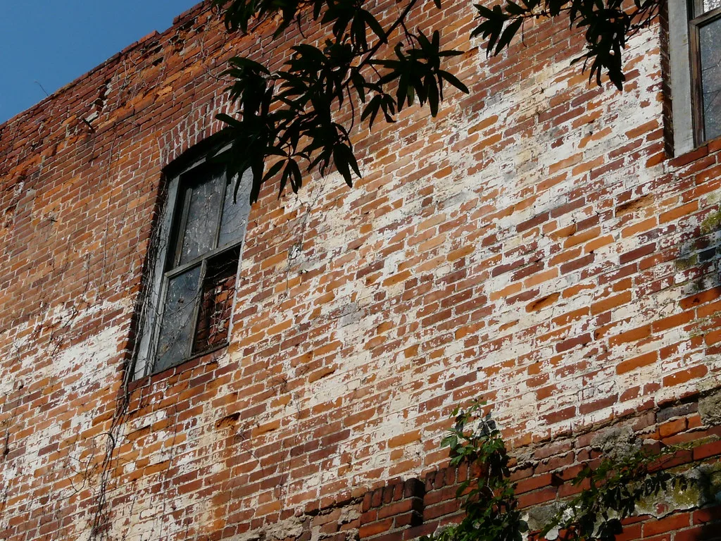 Brick facade with flaking white paint and a broken window overgrown with plants.