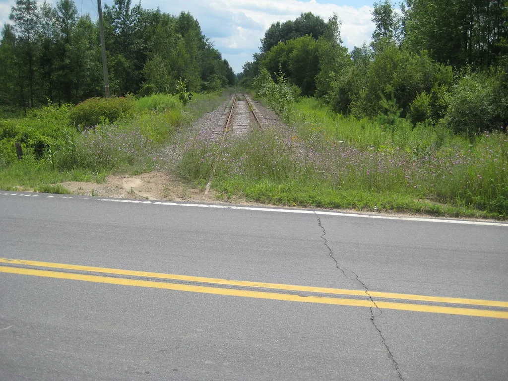 Old railway track overgrown with vegetation beside a road.
