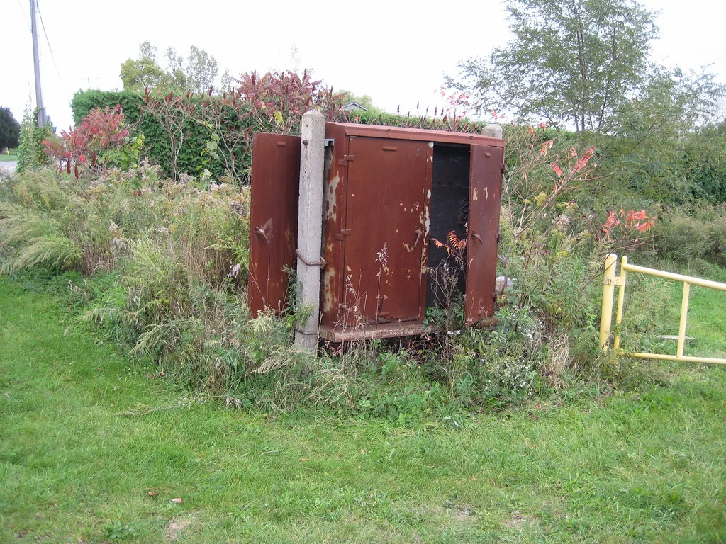Old partly buried entrance with rusty doors amid undergrowth.
