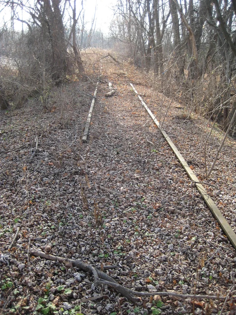 Abandoned rails beneath fallen leaves in a wooded passage overgrown with branches.