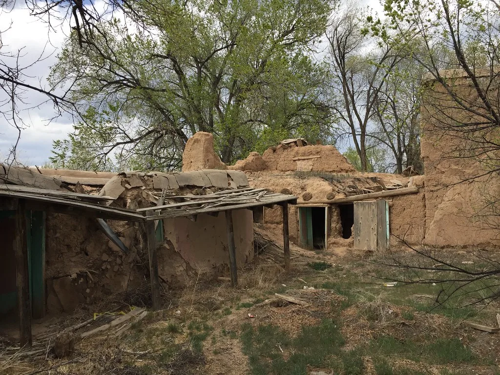 Ruines en terre aux toitures effondrées dans une cour envahie.