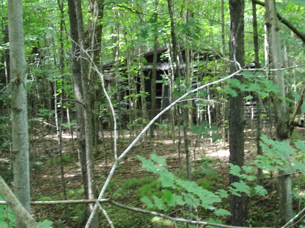 Old cabin with open walls among trees.