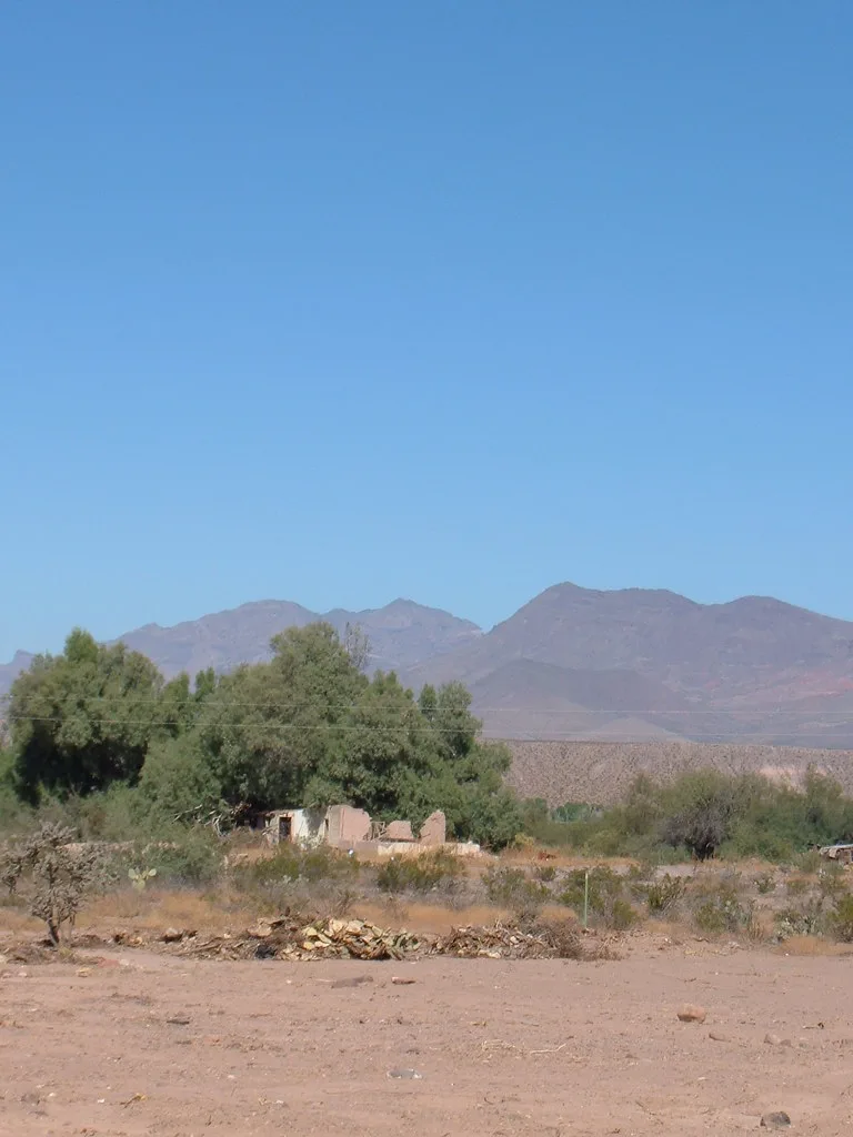 Small pale wall ruins on dry ground in front of trees.