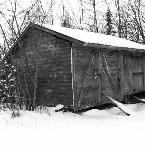 Old wooden shed with warped doors in the snow.
