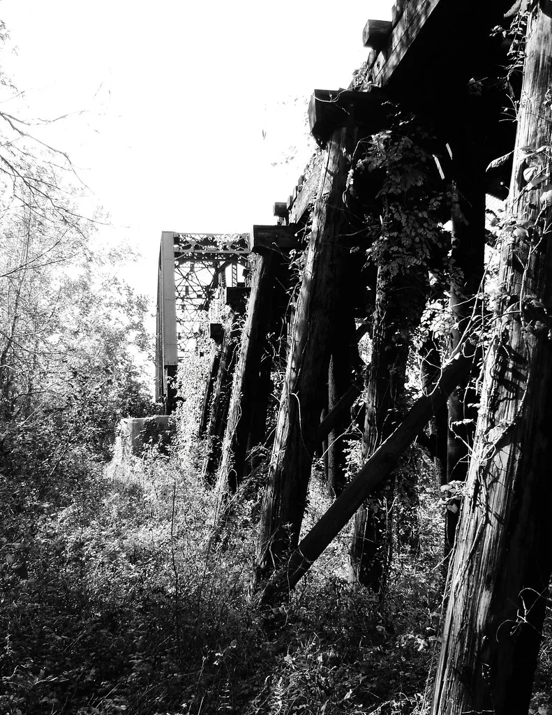 Piliers de bois dégradés et couverts de lierre sous un ancien pont abandonné, en noir et blanc.