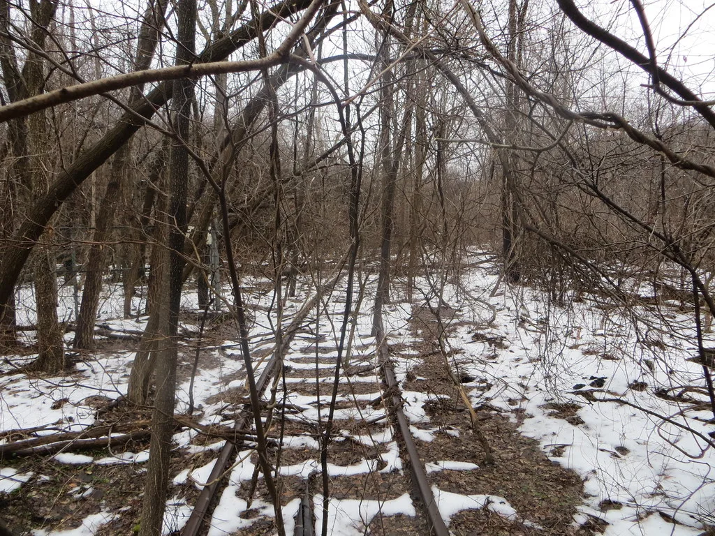 Rusty rails and snow-covered sleepers overrun by trees and branches in woodland.