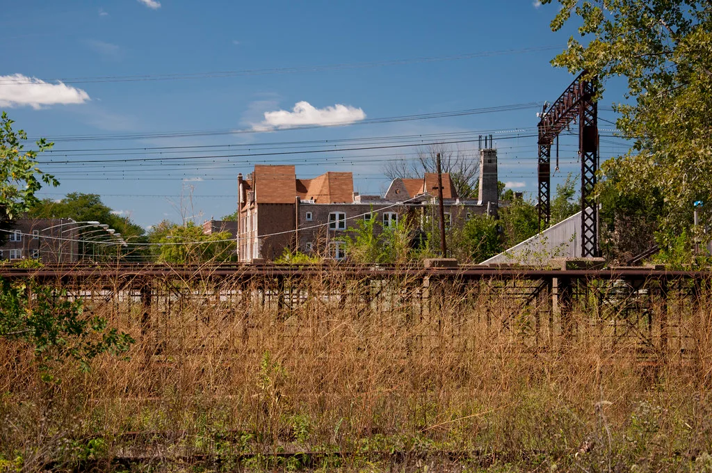 Old railway platform overgrown with tall grass and young trees.