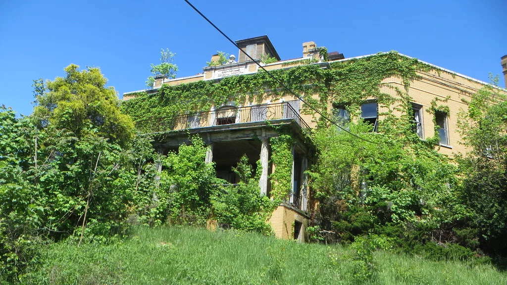 Ancien bâtiment de briques jaunes envahi de lierre et d’arbustes.