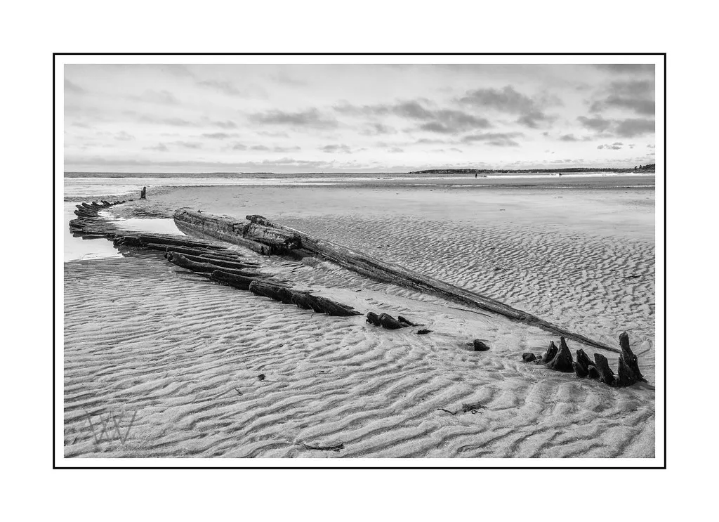 Vestiges d’une épave de bois ensablée sur une plage, en noir et blanc.