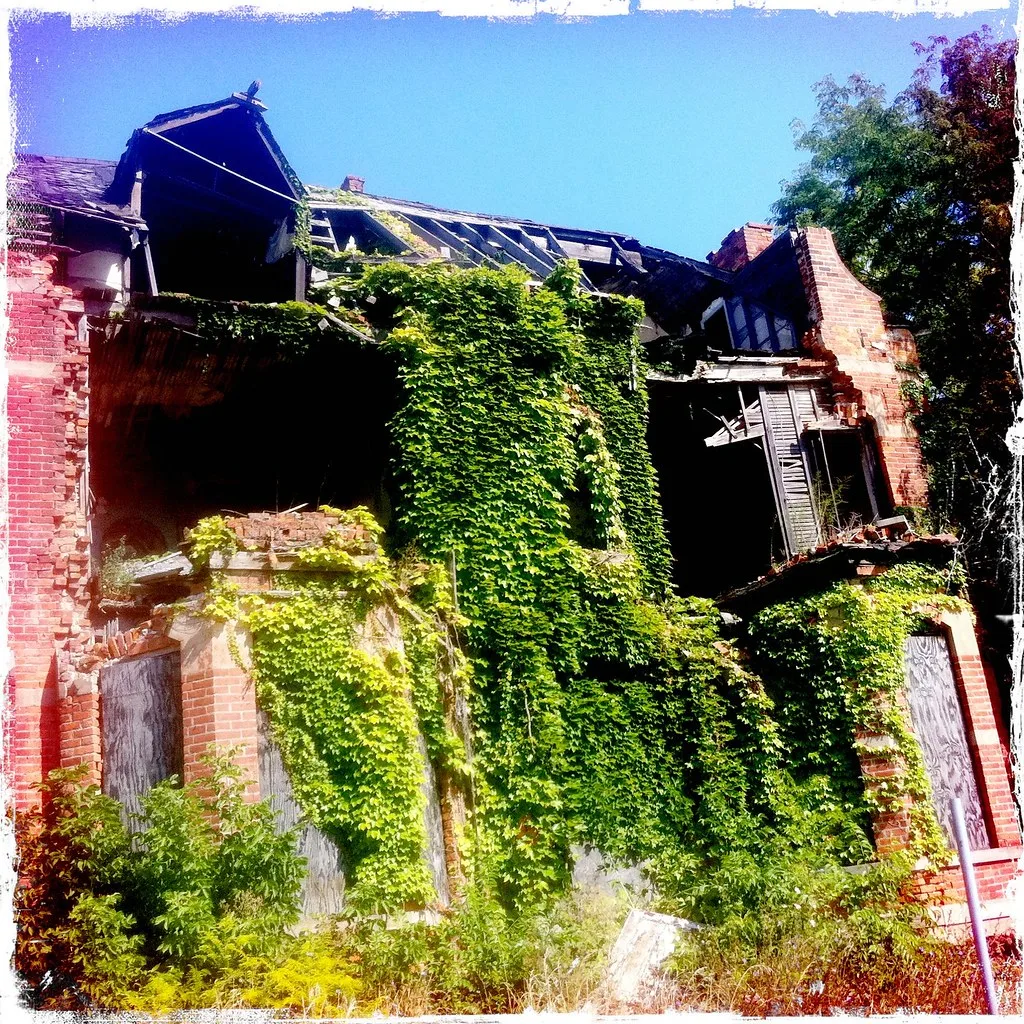 Ruined brick building overgrown with ivy.