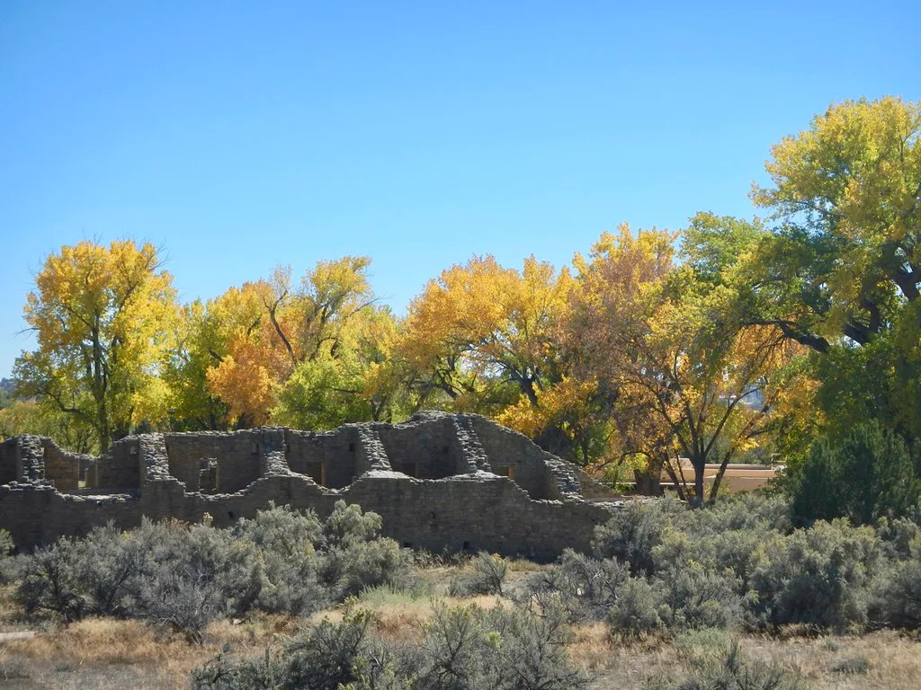 Ruined stone walls among shrubs and autumn trees.