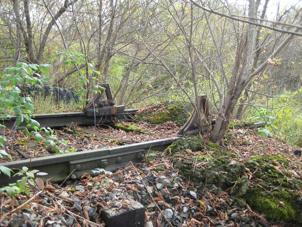 Abandoned rails with buffer stops overgrown with moss and shrubs in the forest.