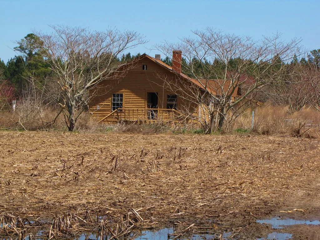 Old brown wooden house with broken windows amid dry vegetation.