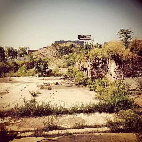 Brick ruins and an old concrete slab overgrown with vegetation.