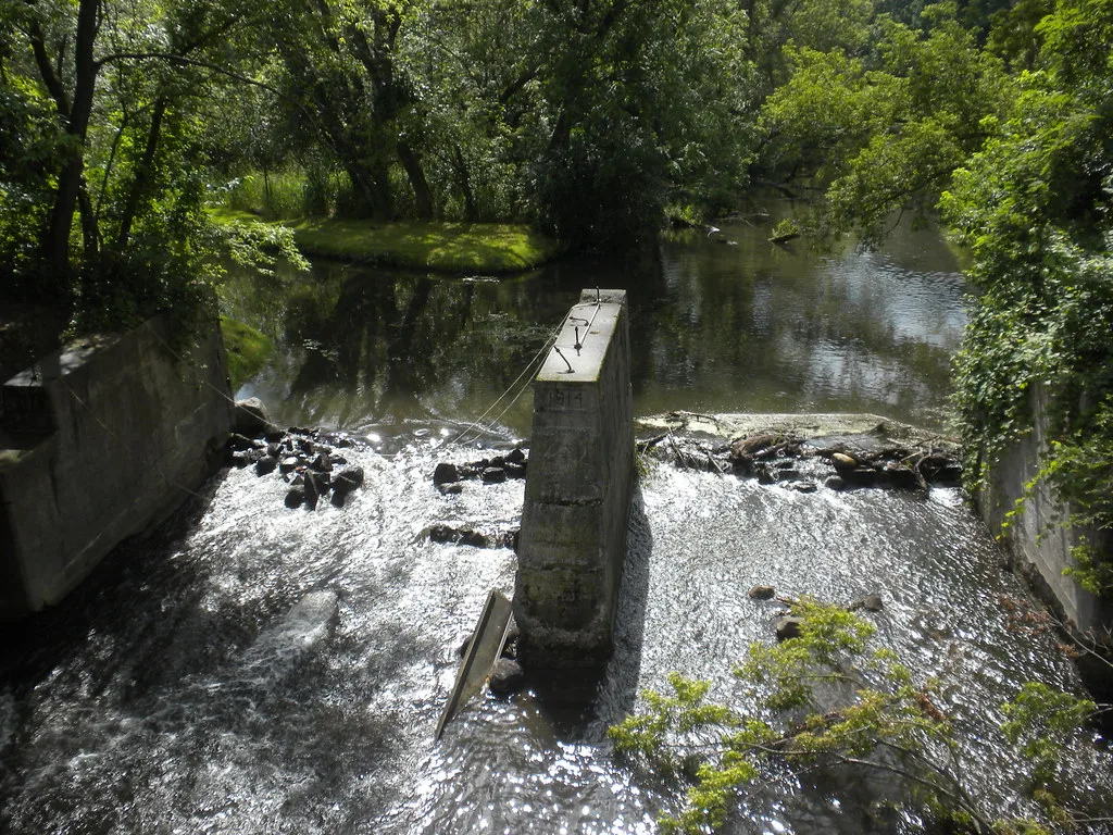 Isolated concrete pier and remains of a hydraulic structure in a tree-lined river.
