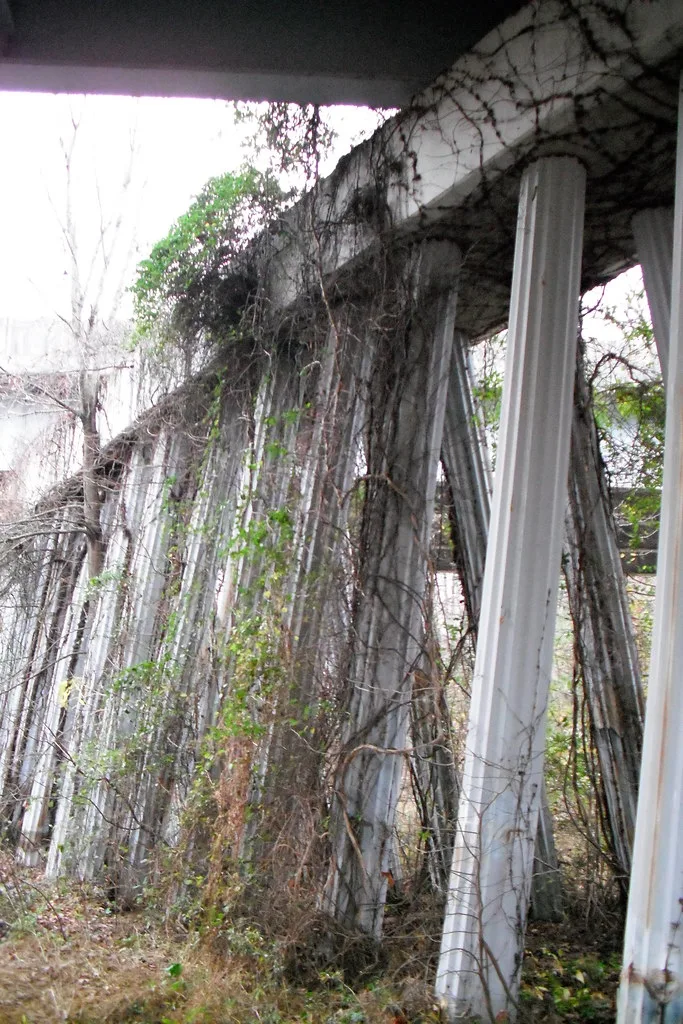 Row of frames and pillars in a ruin overgrown with vines and weeds.