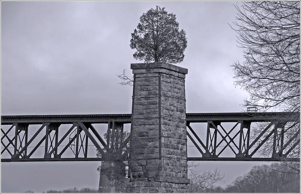 Old stone bridge pier topped by a tree in front of another steel bridge, in black and white.