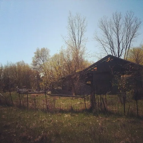 Ossature sombre d’une grange au toit troué derrière une clôture et de hautes herbes.