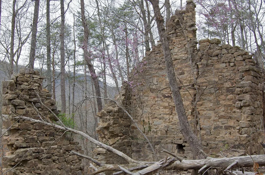 Ruined walls of a former McNabb mine building in woodland.