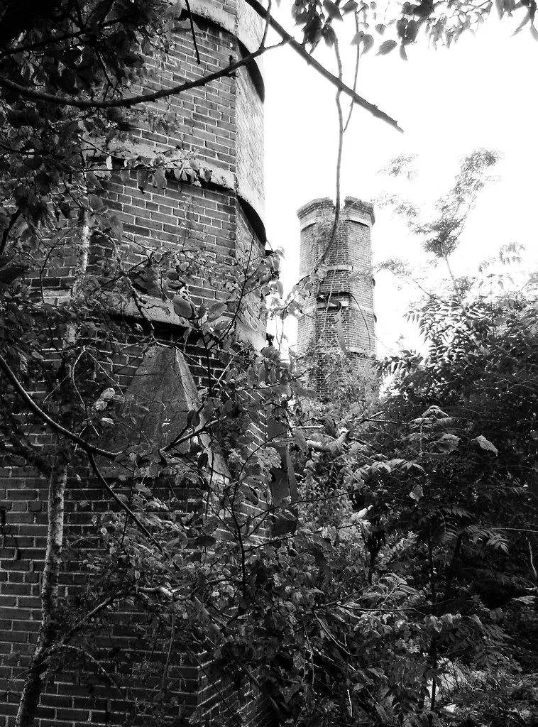 Deux anciennes tours de briques abandonnées prises dans une végétation dense, en noir et blanc.
