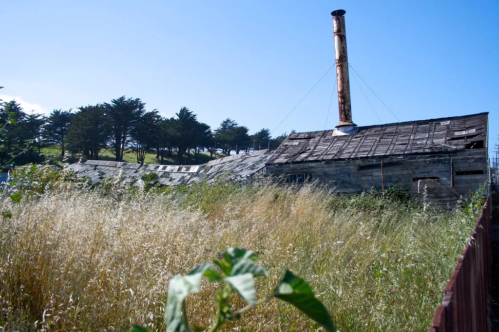 Ancien bâtiment de bois au toit endommagé avec cheminée métallique rouillée.