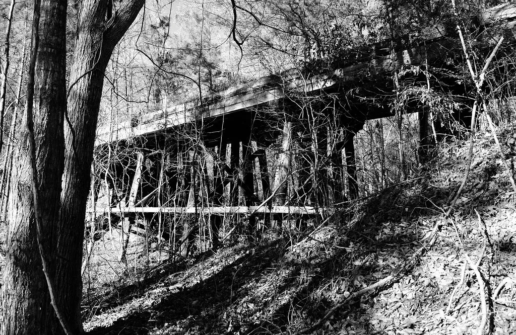 Ancien pont ferroviaire en bois dans une forêt, en noir et blanc.