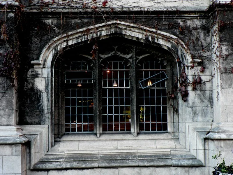 Gothic window and stonework at Hutch Commons