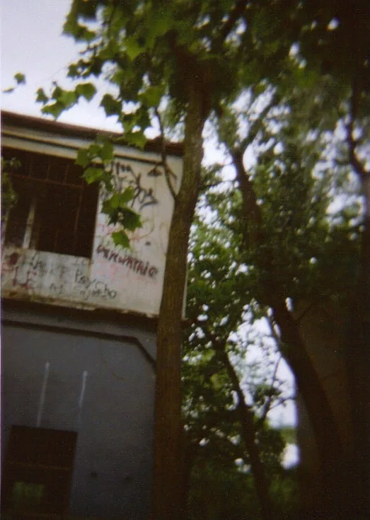 Weathered graffiti-covered facade of an old building among trees.